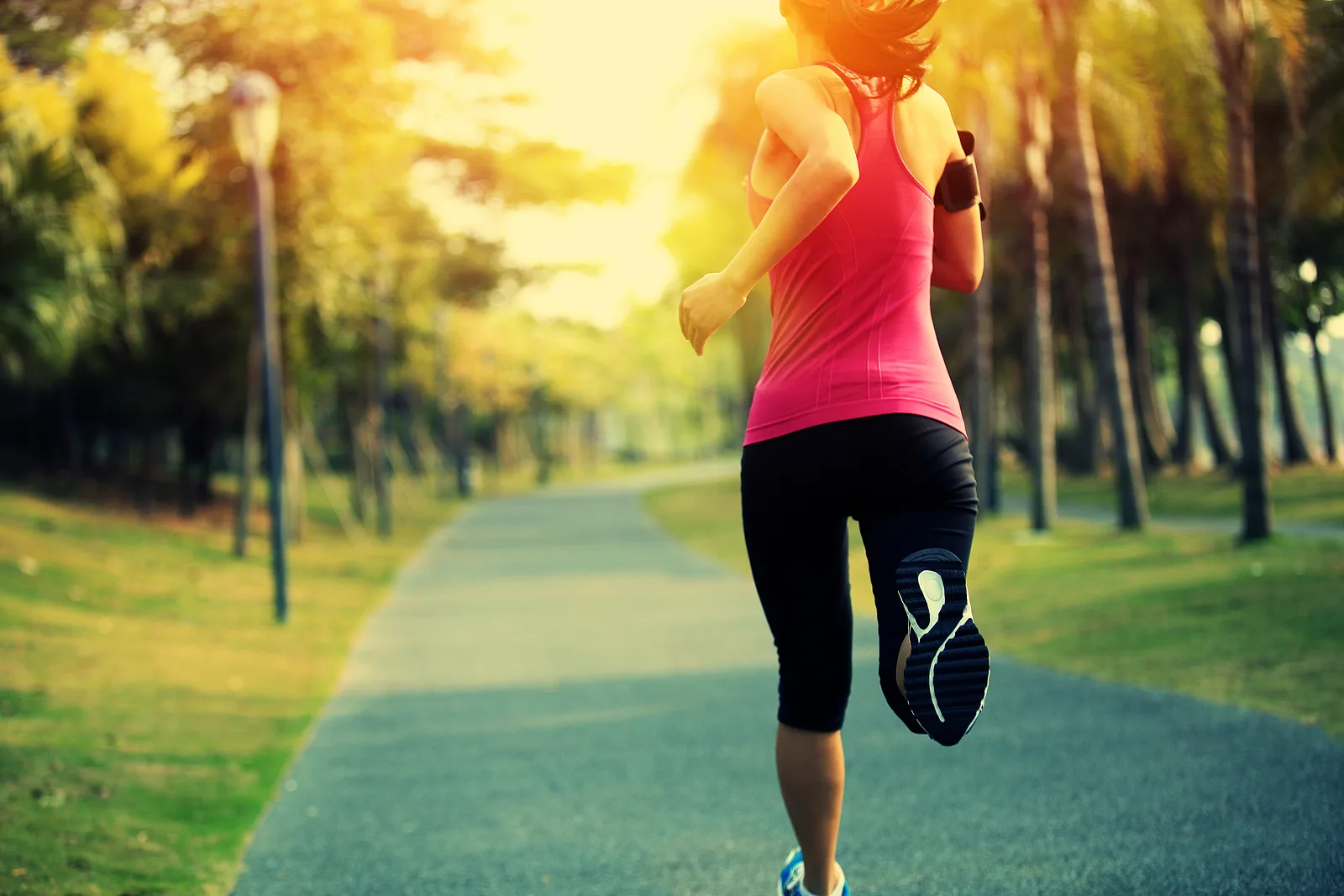 Human Performance Insights
